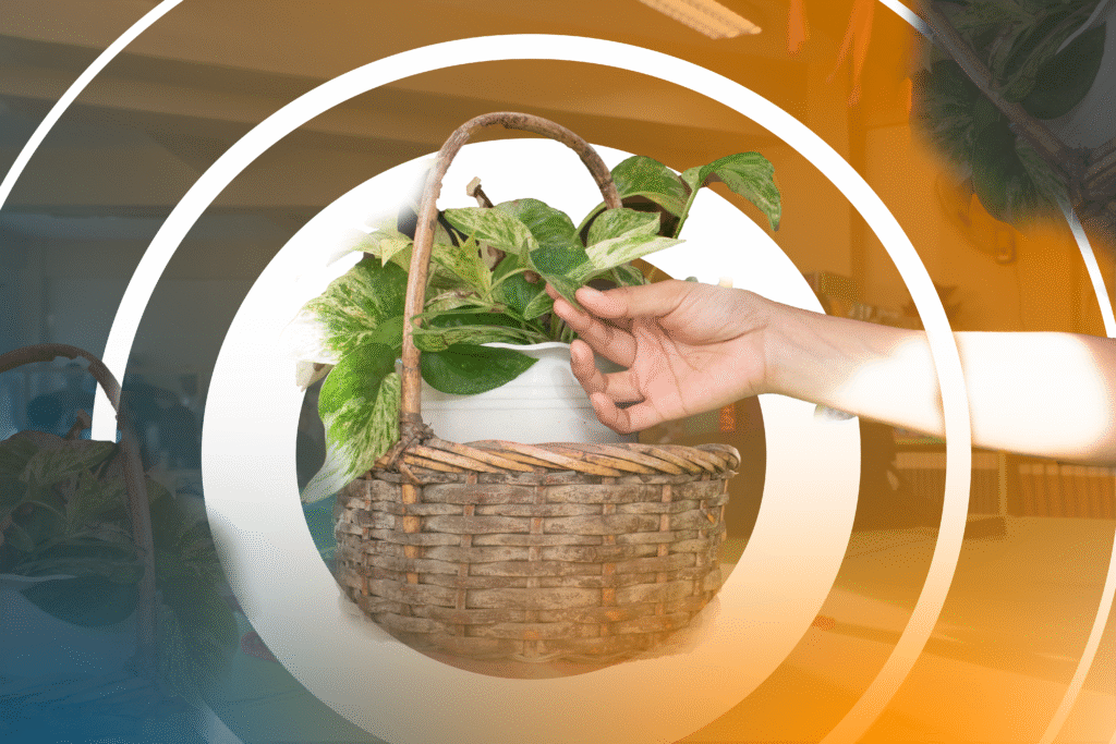 hands harassing a plant
